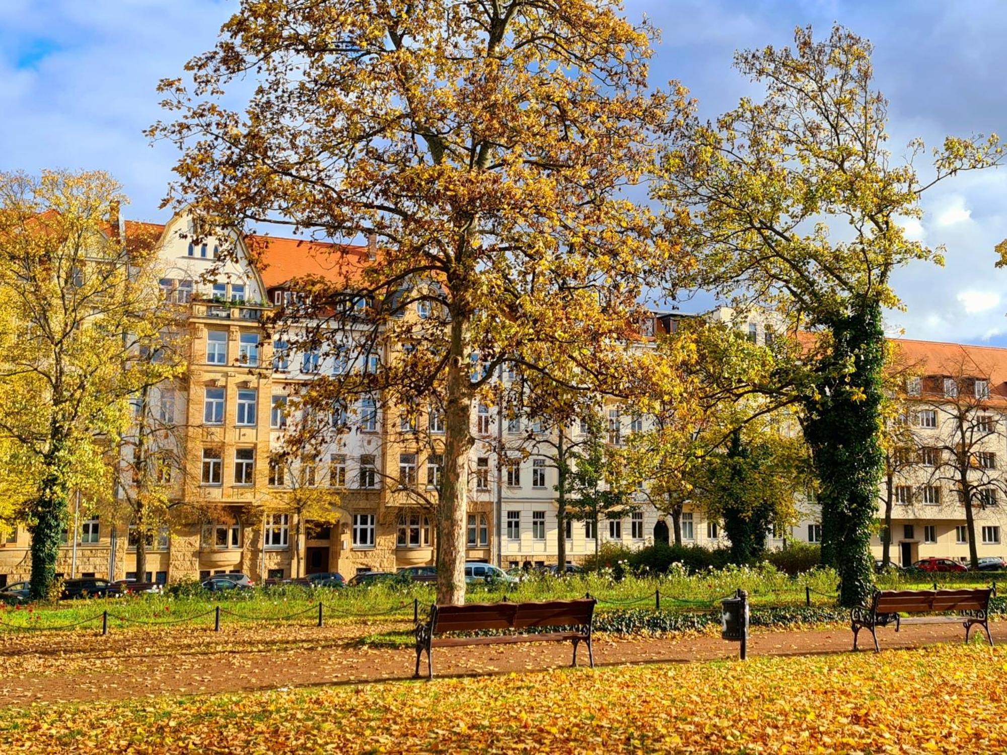 Ferienwohnung Kleinod am Park - Zentrum-Südost Leipzig Exterior foto